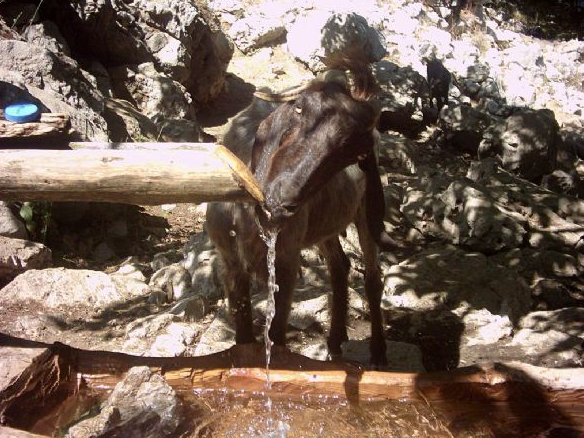 Bir oradan bir buradan kareler! - Resim: 1