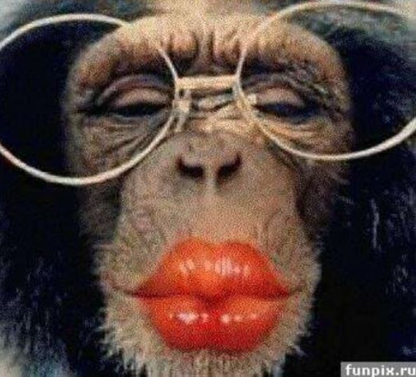 Günün en çok tıklanan bomba kareleri - Resim: 3