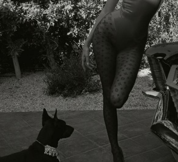 Köpeğine pırlanta gerdanlık taktı poz verdi olay oldu - Resim: 4