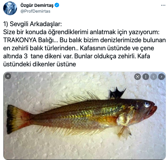 Özgür Demirtaş'ı zehirli trakonya balığı soktu! İnanılmaz acı veriyor hatta öldürüyor! - Resim: 0