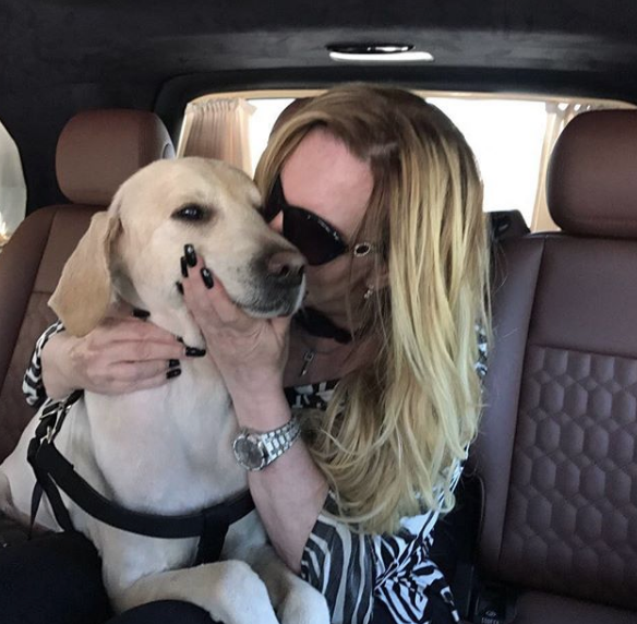 Yeşilçam'ın efsanesiydi! Harika Avcı pansiyon köşelerinde yaşamaya başladı - Resim: 3