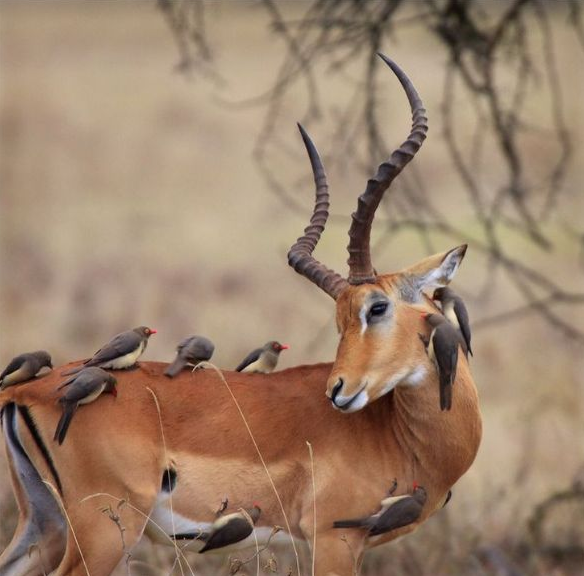 Ordan burdan fotoğraflar - Resim: 3
