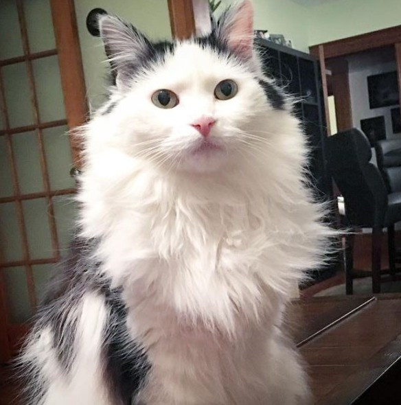 "Zengin kız fakir oğlan" hayran bıraktı - Resim: 2