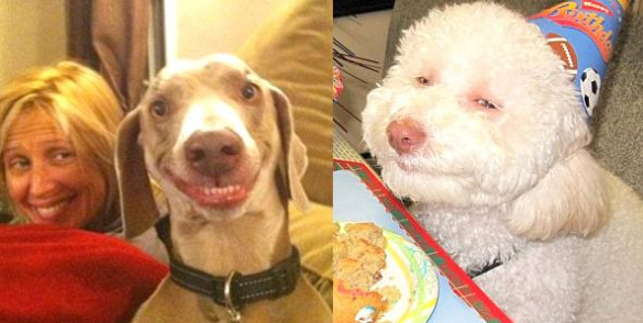 Dünyanın en ilginç olayları! - Resim: 2