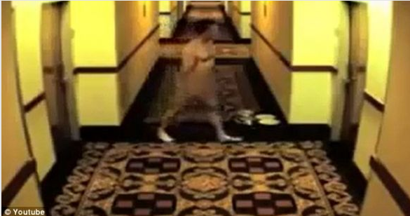  Çırılçıplak vaziyette kapıda kaldı! - Resim: 1