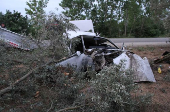 Ağaçta otomobil mi yetişir demeyin... - Resim: 1