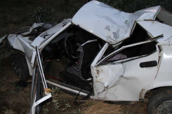 Ağaçta otomobil mi yetişir demeyin... - Resim: 3