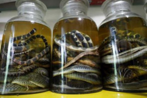 Dünyanın en ilginç olayları! - Resim: 4