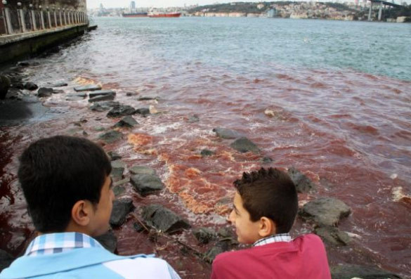 Boğaz yine kan gölüne döndü - Resim: 3