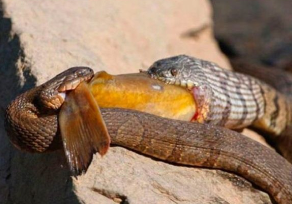 Bir oradan bir buradan bomba kareler - Resim: 1