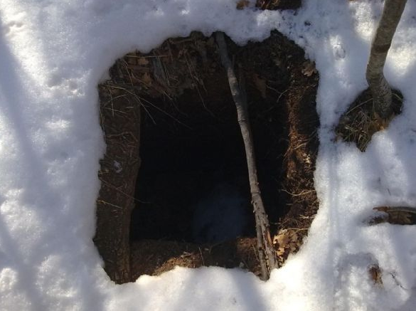 PKK sığınakları böyle imha edildi! - Resim: 1