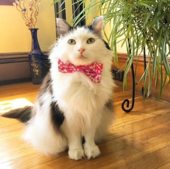 "Zengin kız fakir oğlan" hayran bıraktı - Resim: 4