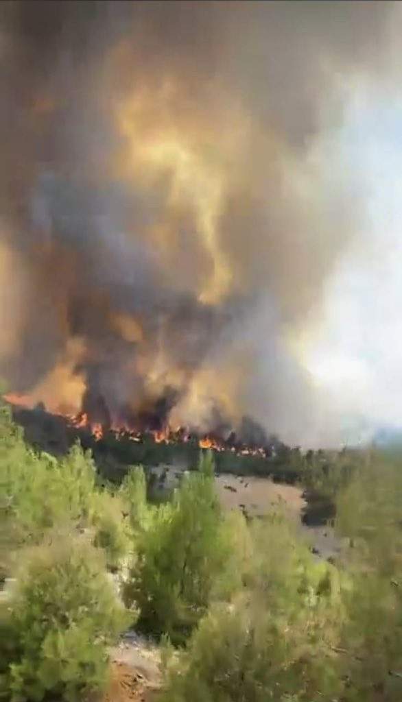 Burdur Çobanpınar'da orman yangını! Alevler 2 mahalleye sıçradı müdahale edilliyor - Resim: 0