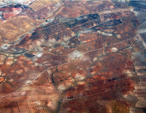 Dünyadan müthiş fotoğraflar - Resim: 4