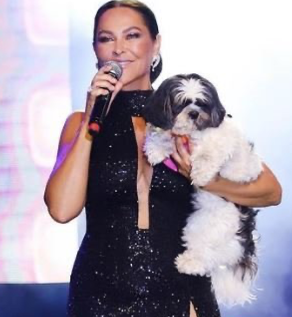 Hülya Avşar'ın cesur sahne kıyafeti çok konuşulur görenler mest oldu - Resim: 4