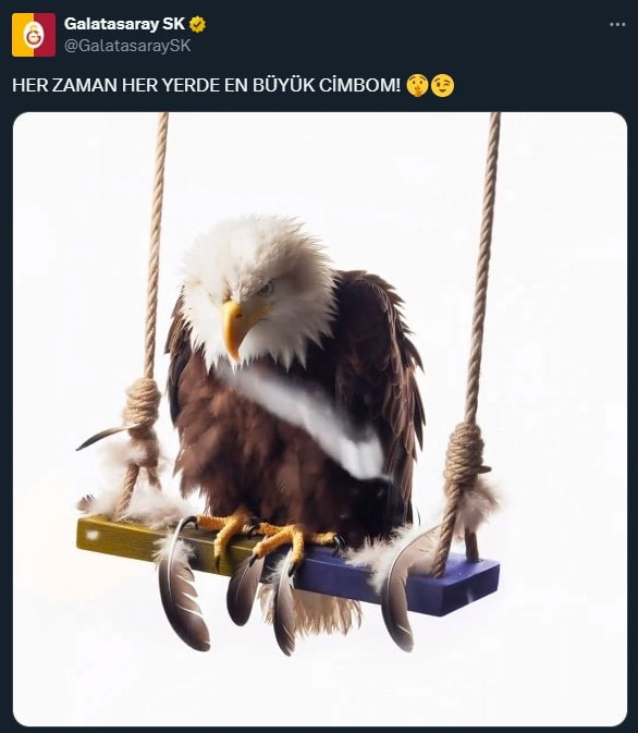 Beşiktaş'tan Galatasaray'a salıncak tepkisi: Bir dahakine edebinle sevin - Resim: 0