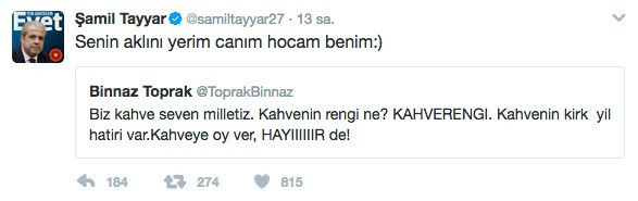 CHP'li Binnaz Toprak'ın 'hayır' tweeti sosyal medyayı salladı - Resim: 4