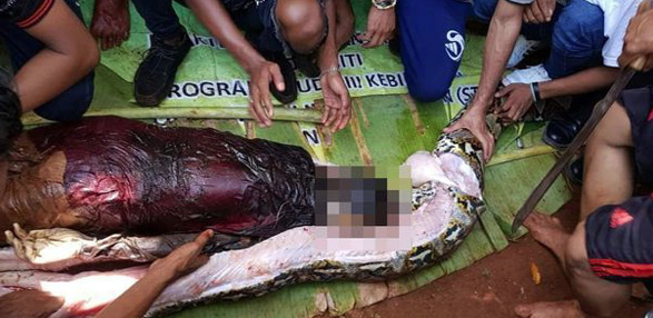 Kimse inanamadı! Görenler çığlık attı hayrete düştü - Resim: 1