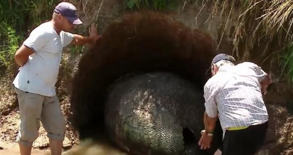 Yürüyüş sırasında rastladılar devasa yumurta şoke etti bakın ne çıktı? - Resim: 1