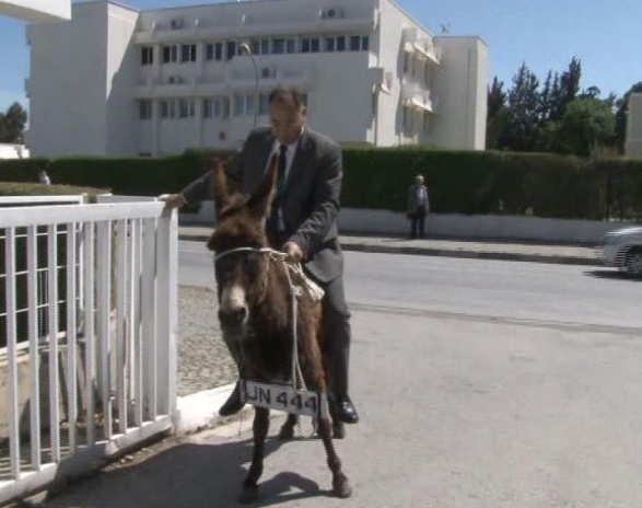 Meclis'e eşekle geldiler! - Resim: 1