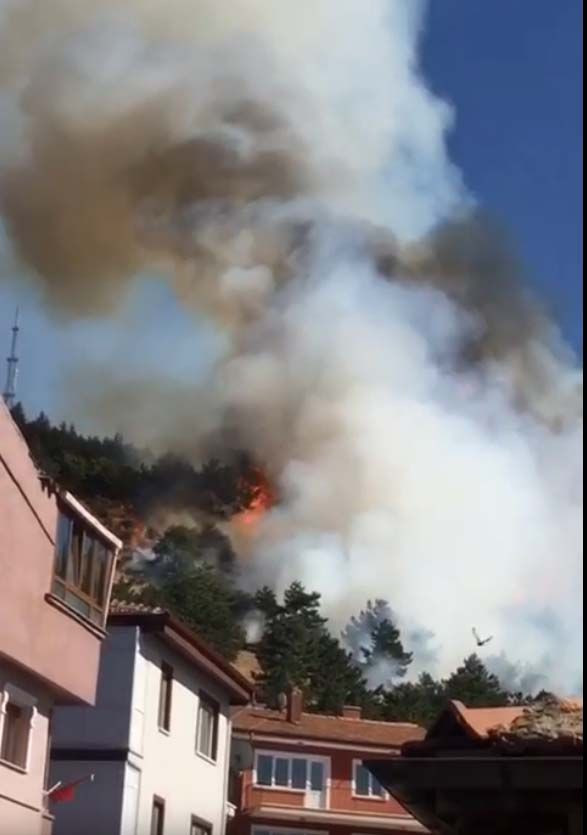 Ankara'da ormanlık alan alevlere teslim oldu - Resim: 3