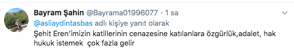 HDP'li Filiz Buluttekin kimdir? 'Yazık' diyen Aslı Aydıntaşbaş bu fotoğrafa ne der? - Resim: 2