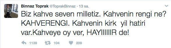 CHP'li Binnaz Toprak'ın 'hayır' tweeti sosyal medyayı salladı - Resim: 2