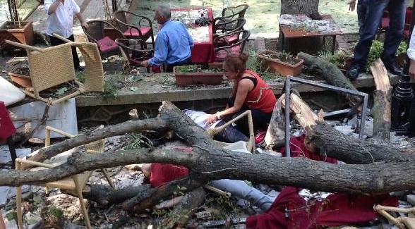 Devrilen o ağacın altından yürek burkan dram çıktı! - Resim: 4