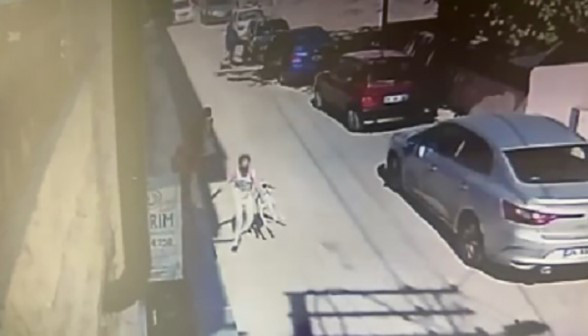 O köpeğin sahibine 2 yıl sonra büyük şok! 'Hapis' talebiyle dava açıldı - Resim: 0