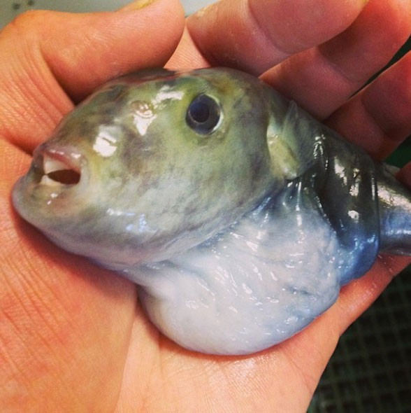 'Onunda bir güzelliği var' dedi ama görenler hayret etti! - Resim: 3