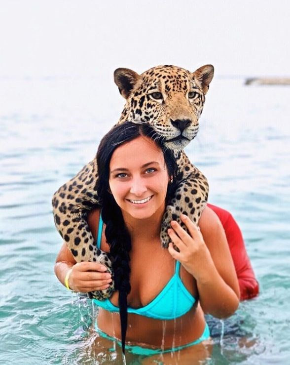 Cesaretin böylesi tehlikeli jaguarlarla yüzüp fotoğraflar çekiliyorlar - Resim: 2