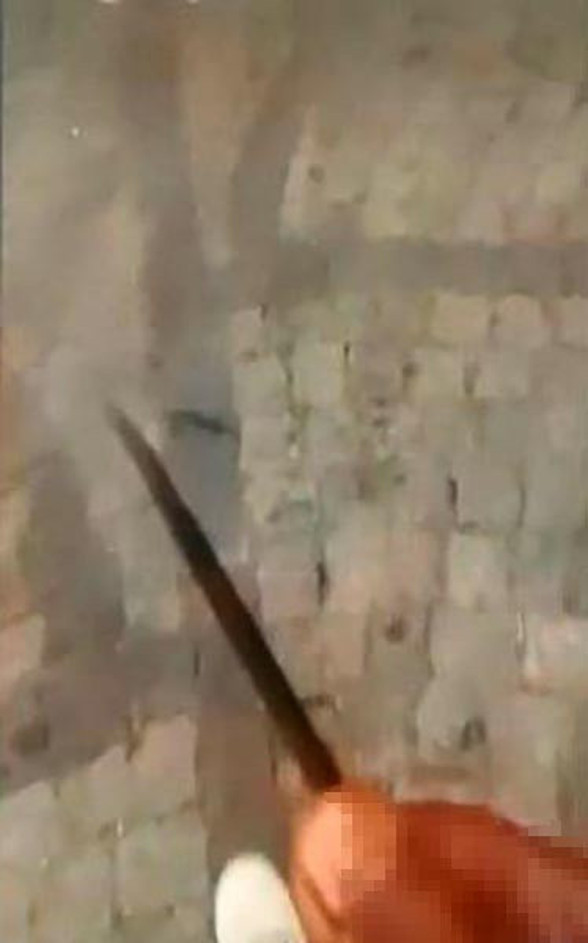 Kanlı eliyle video çekmiş! Kocaeli'deki cinayetin nedeni belli oldu - Resim: 0