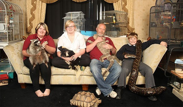 Yılan ve sürüngenlerle dolu eve bakın - Resim: 1