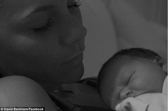 Kameralarla böyle tanıştılar - Resim: 2