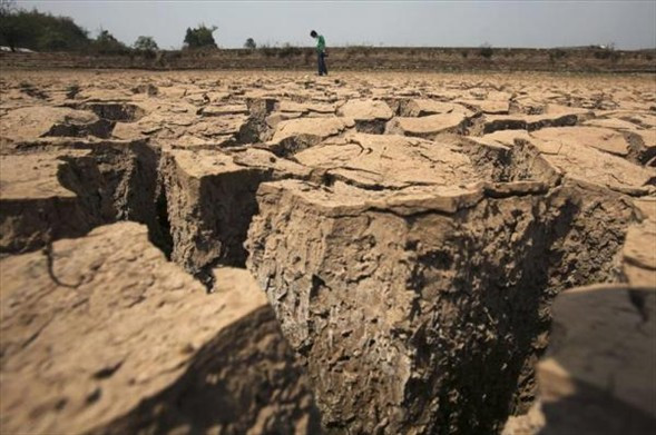 Doğanın ölümü - Resim: 2