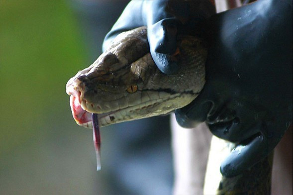 Vahşi tüketim böyle katlettiriyor! - Resim: 1