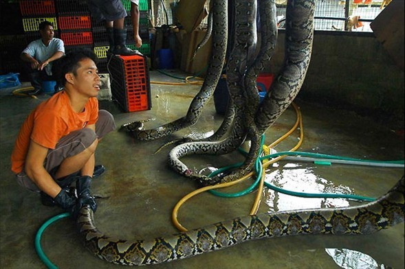 Vahşi tüketim böyle katlettiriyor! - Resim: 2