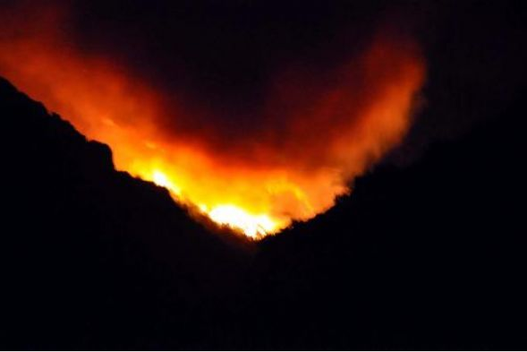 Ege'nin ciğerine ateş düştü - Resim: 3