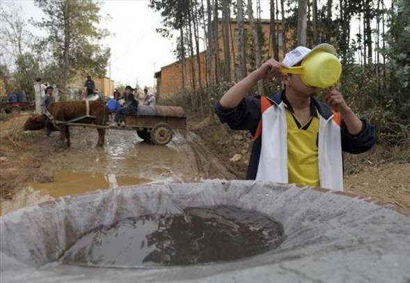 Doğanın ölümü - Resim: 4