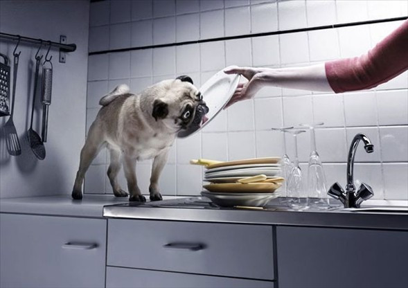 Bu kareler güldürüyor! - Resim: 4