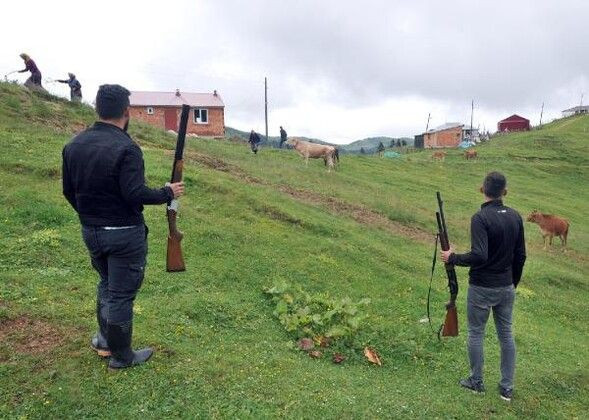 Trabzon'da yaylaya kurt indi! Köylüler sokağa çıkmaya korkuyor - Resim: 1
