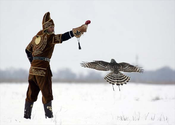 Kartal tavşanı böyle avladı! - Resim: 1