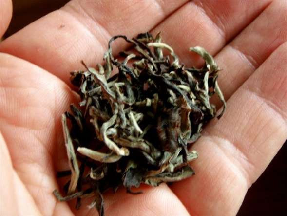 Kilosu 1.2 milyon dolar! - Resim: 4