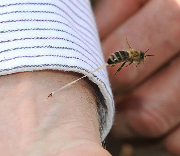 Tam o an çekilen inanılmaz kareler - Resim: 1