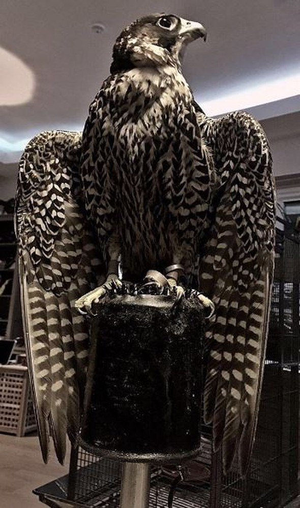 Ünlülerin yönetmenin evinden öyle şeyler çıktı ki... - Resim: 3