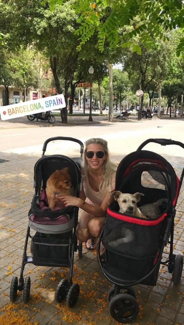 Herkes pusette bebek gezdirdi, o köpeğini!  - Resim: 3