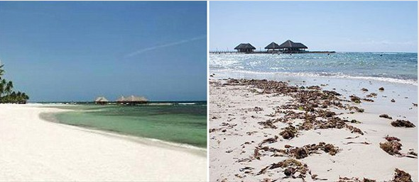 Reklamların gerçek yüzü - Resim: 1