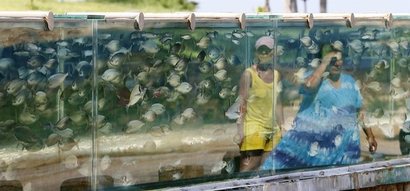 Evinin çevresine akvaryum yaptı - Resim: 3