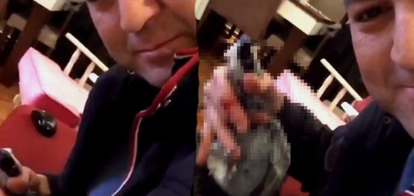 Masterchef Murat'ın papağana işkence görüntüleri herkes çıldırdı - Resim: 2