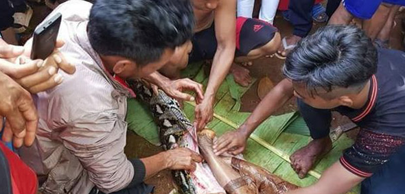 Kimse inanamadı! Görenler çığlık attı hayrete düştü - Resim: 3